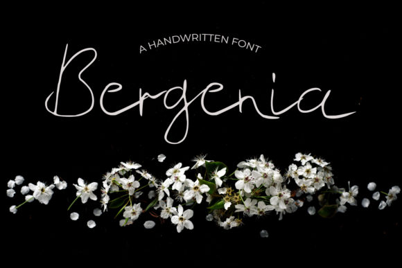 Bergenia: A Handwritten Font for Clear Campaigns
