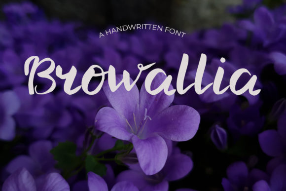 Browallia: A Handwritten Font for Editorial Charm
