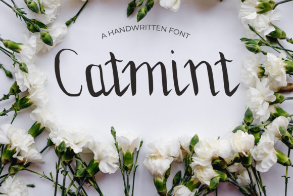 Catmint: A Handwritten Font for Polished Branding