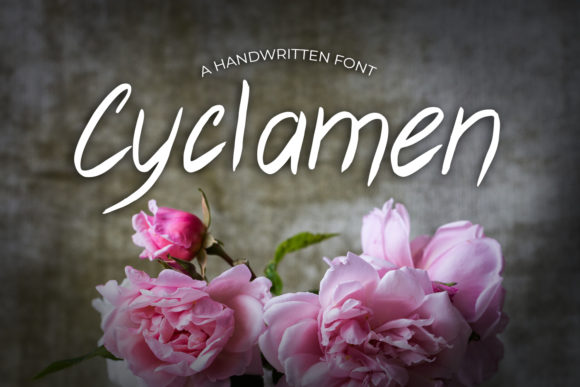 Cyclamen: A Designer’s Honest Review