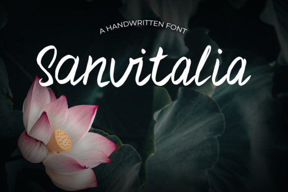 Sanvitalia: A Handwritten Font for Brand Identity