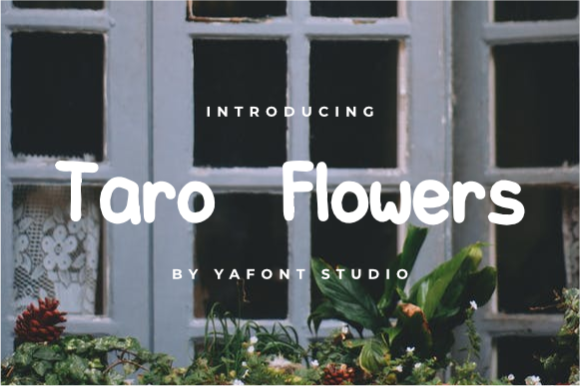 Taro Flowers: A Designer’s Practical Review