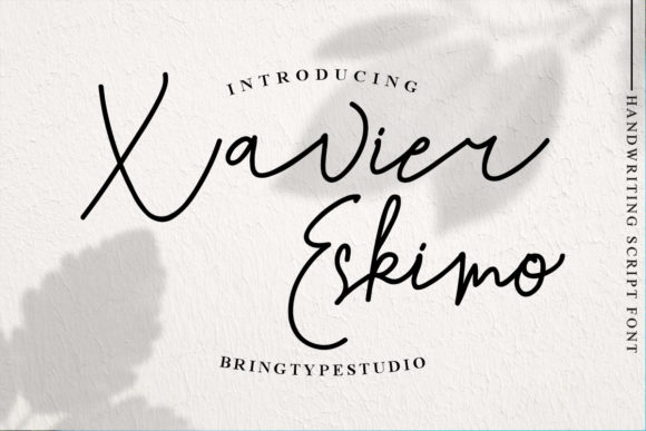 Xavier Eskimo Font: Elevate Your Brand Identity